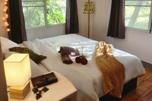 Mangrove Beach Houses