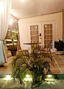 Stay Awhile Studio Apartment - Live Like A Local