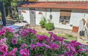 Lovely Apartment In Firenze With Wifi