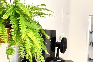 Kitnet na rua da UFV com Smart TV e Garagem