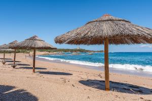 Functional studio with shared pool img40