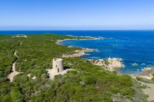 Functional studio with shared pool img43