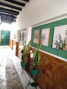 Aparta Hotel Eucalyptus