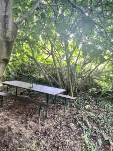 Menyecske Guesthouse