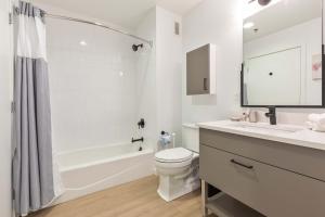 Bright Apartment in the Heart of Cambridge Walk Everywhere