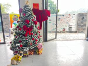 Lotus Hostel Ha Giang Loop