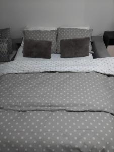 Prime Spot Apartment