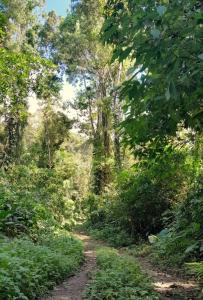 Aconchego e simplicidade