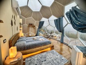 The Land Before Time - Quad & Saddle Retreats