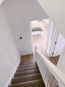 Modern Living 9 bedroom house with 9 bathrooms,