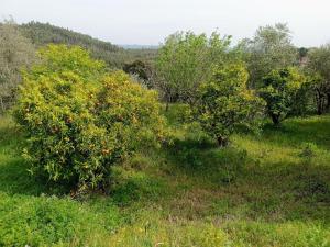 Stunning Hilltop Views - Orchard - Pool - Serenity