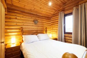 Host and Stay - Mystic Falls