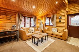 Host and Stay - Mystic Falls