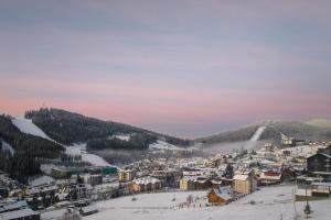 Chalet Podgorie Spa&Resort