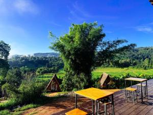 Lazy mango homestay