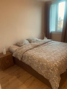 Cozy apartment near city center and train station