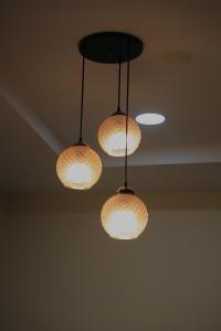 OneOfAKind Premium 3BHK