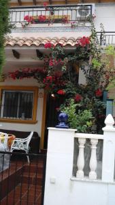 Holiday home Torre de Pisa