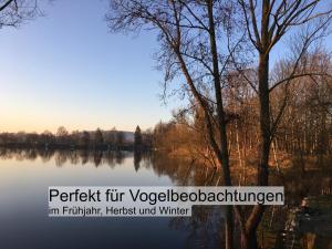 Chalet am Seeufer
