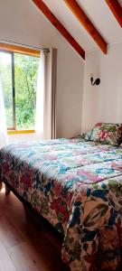 Cabañas Lagos y Volcanes