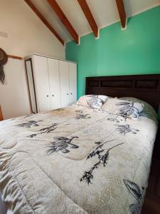 Cabañas Lagos y Volcanes