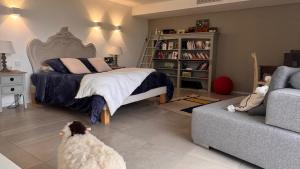 Appartement dans le magnifique Domaine Celestina hauteurs dOllioules, vue mer exceptionnelle