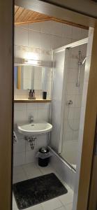 Central Apartment Radstadt