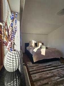 Central Apartment