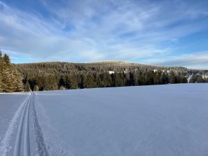 Lesní Premium Family Apartment