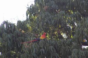 Casa en La Pintada Para Aventura y Descanso