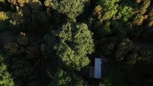 Cabañas en medio del bosque