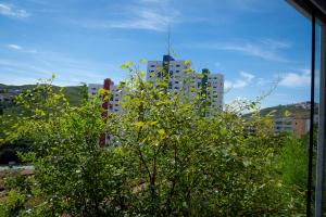 Casa Pet Friendly c 3 Quartos e Garagem no Jardim