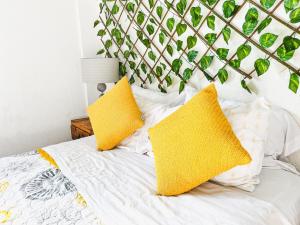 Mexican Cozy Apartment