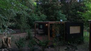 Cabañas en medio del bosque