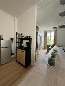 Superbe appartement Nancy Thermal