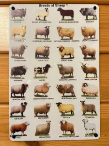 Balquhidder Braes Holiday Park Lodges, mostly with Hot Tubs and pet friendly, EV facilities