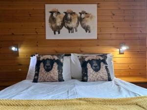 Balquhidder Braes Holiday Park Lodges, mostly with Hot Tubs and pet friendly, EV facilities