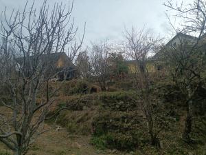 Himalayan farm stay