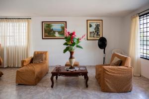 Charming and relaxing in Manga! Close to Getsemaní