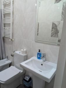 Tbilisi Super VIP Apartment