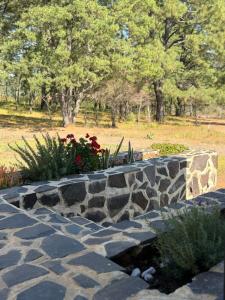 Cábaña bonita vista