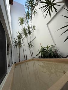 Casa Vemisa Puerto Escondido