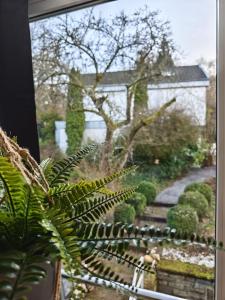 Ferienhaus Wintergarten für 8 Gäste und 2 Hunde in der Eifel mit toller Aussicht, Kamin und Garten
