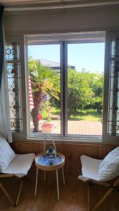 100 pyeong stone wall garden stay with the atmosphere of Jeju, Totos sea