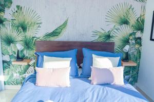 HOM I Wifi Urbano Vista Gastronomia Sacramentinos