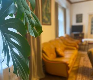 Uzdrowiskowe Retro by LibertaRent