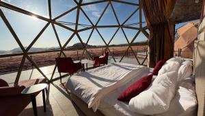 Desert Bedouin adventure