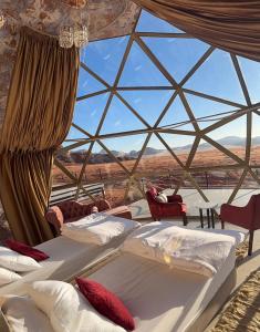 Desert Bedouin adventure