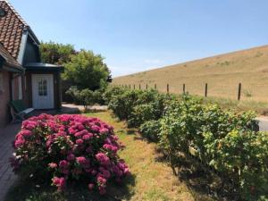 Holiday Home Deichhof Tossens by Interhome