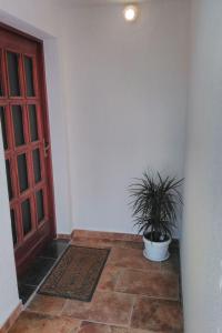 Apartment Studio-Apartment mit Meerblick in der Nähe des Strandes by Interhome